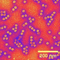 Trapping nanoparticles 